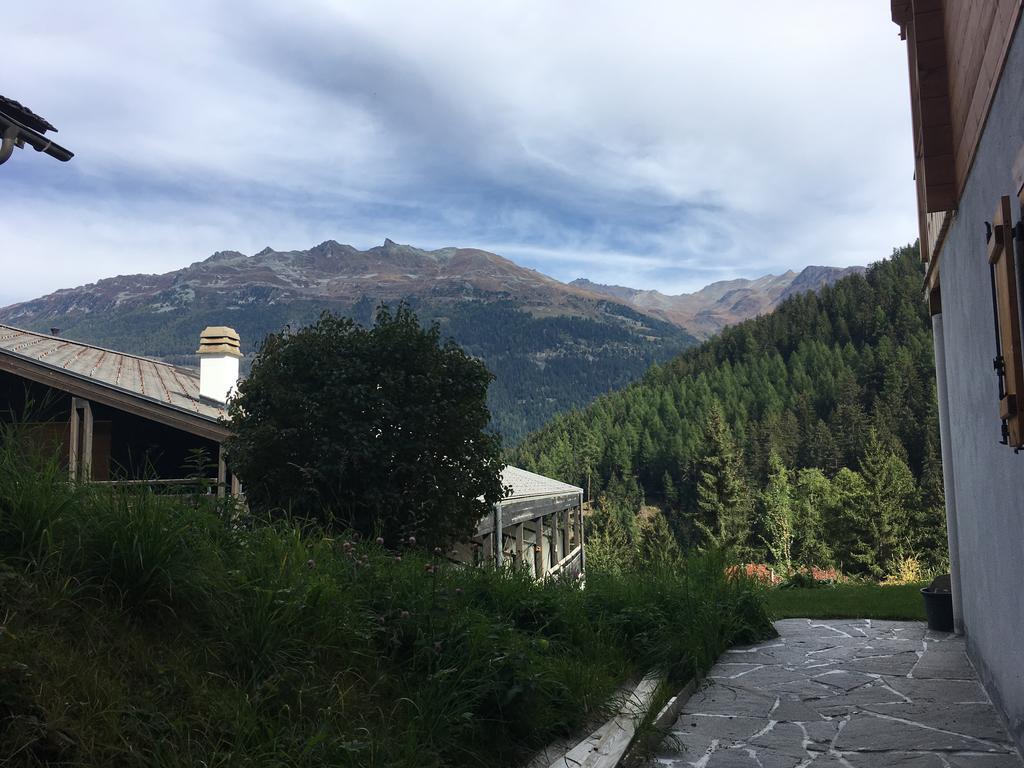 Le Nid De Martinet * Grimentz
